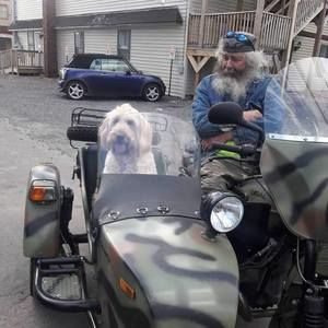 Meet your Posher, Joe